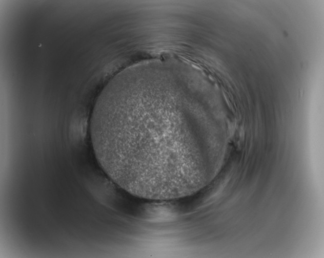 X0000089710652200707051702