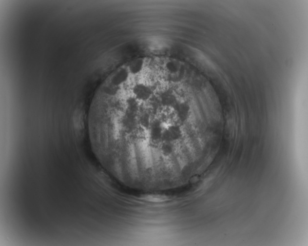 X0000089710654200707051702