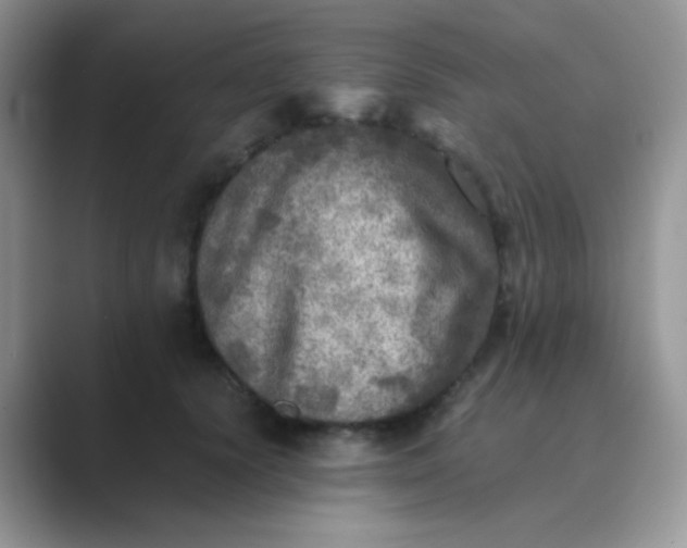 X0000089710656200707051702