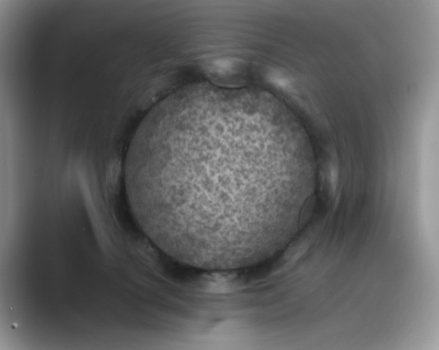 X0000089710660200707051702