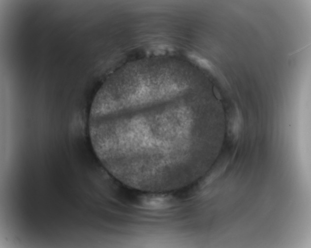 X0000089710661200707051702