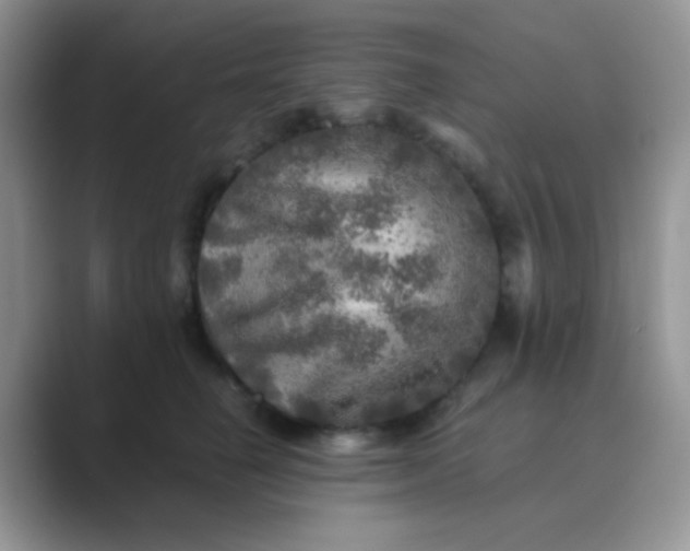 X0000089710662200707051702