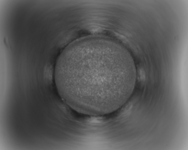 X0000089710664200707051702