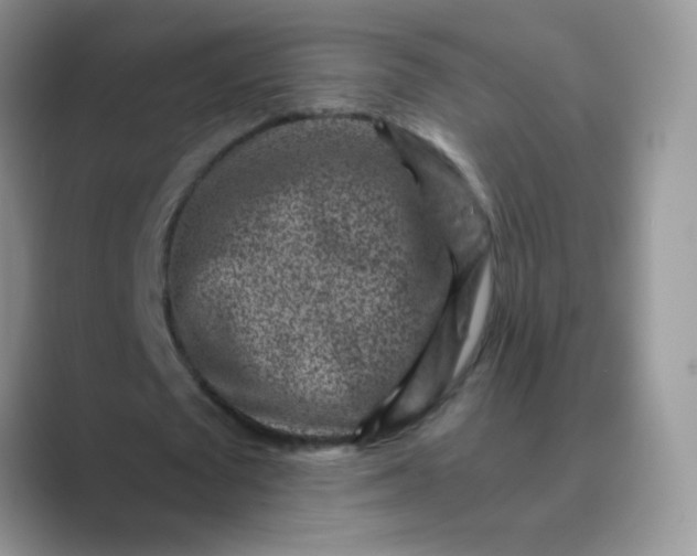 X0000089710673200707051702