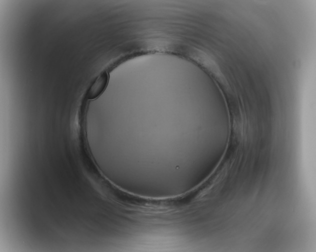 X0000089710674200707051702