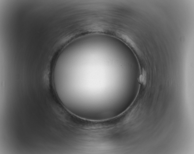 X0000089710675200707051702