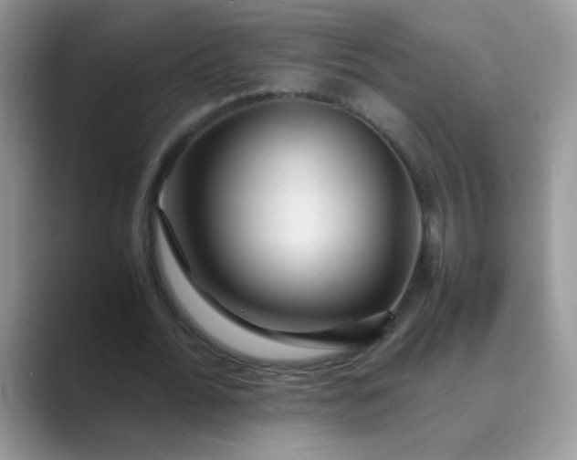 X0000089710676200707051702