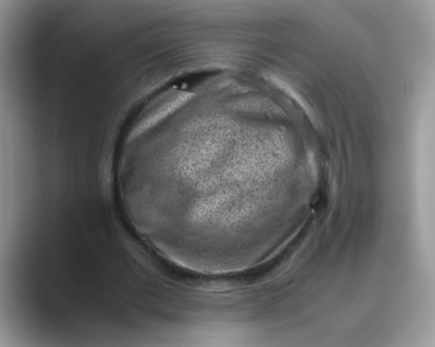 X0000089710677200707051702