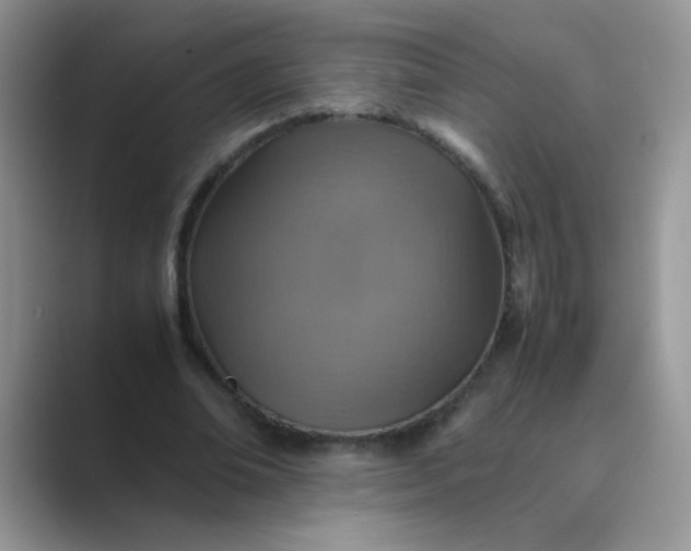 X0000089710678200707051702