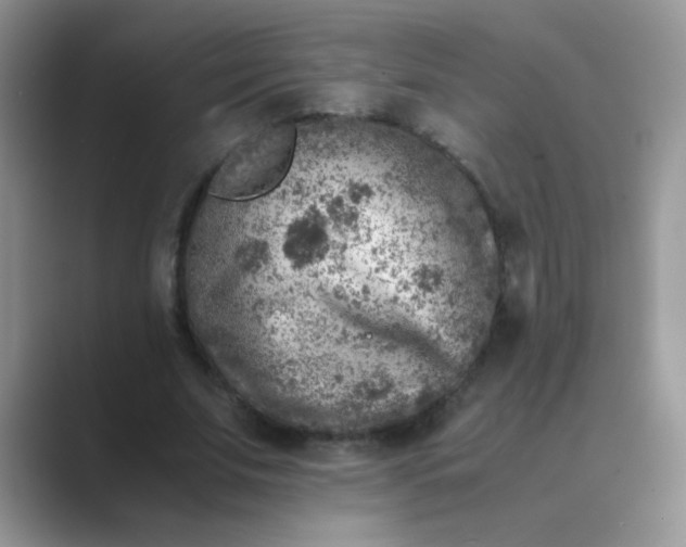 X0000089710679200707051702