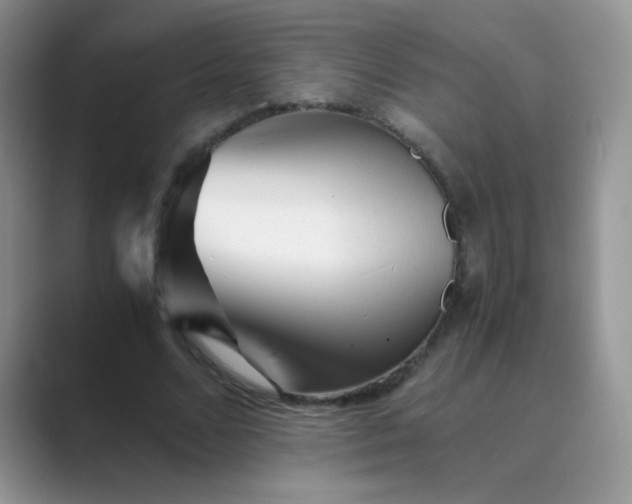 X0000089710680200707051702