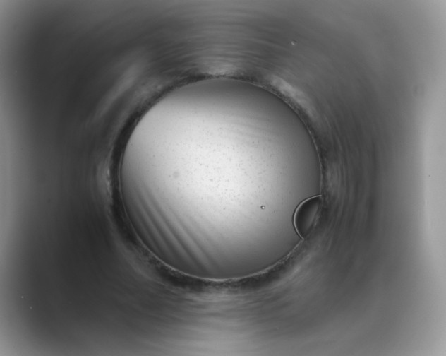 X0000089710682200707051702