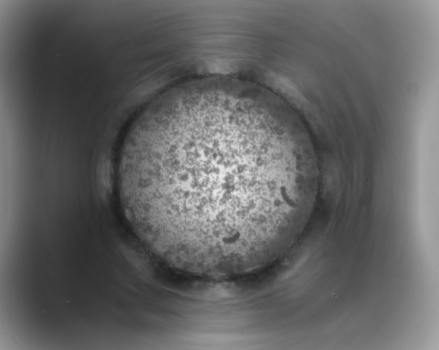 X0000089710683200707051702