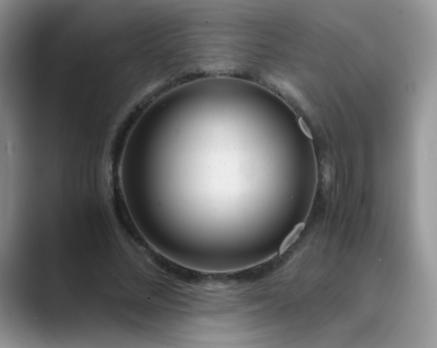 X0000089710684200707051702