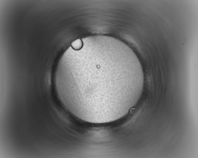 X0000089710686200707051702