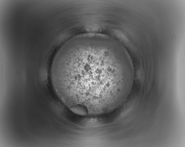 X0000089710687200707051702