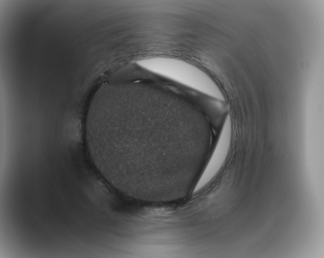 X0000089710689200707051702