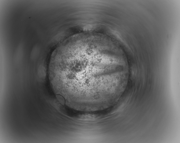 X0000089710691200707051702