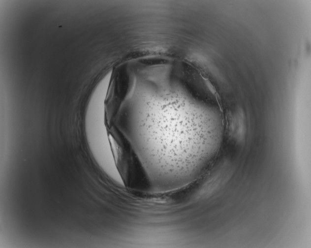 X0000089710692200707051702