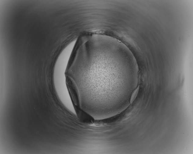 X0000089710693200707051702