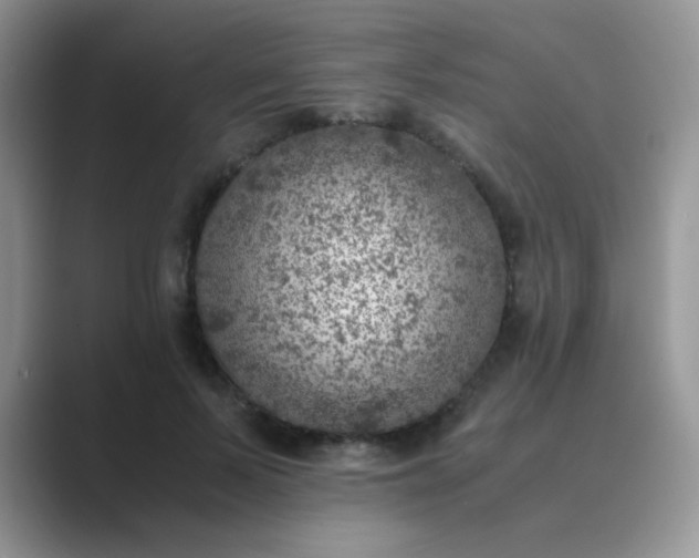 X0000089710695200707051702