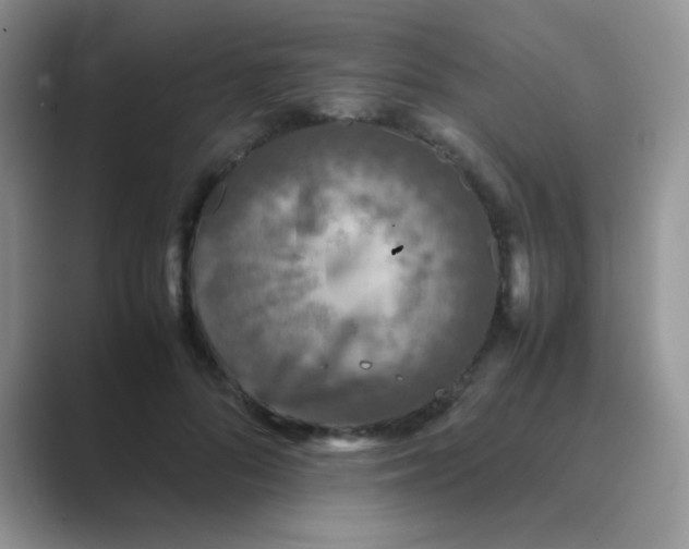 X0000089710696200707051702