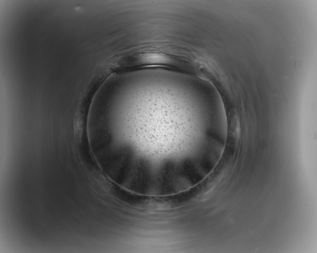 X0000089710697200707051702