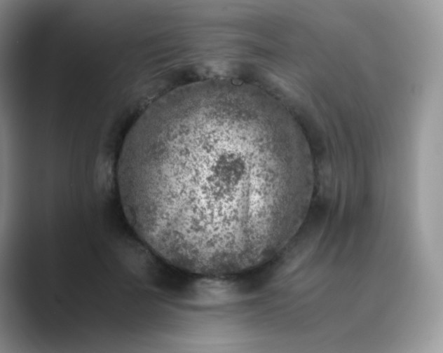 X0000089710699200707051702