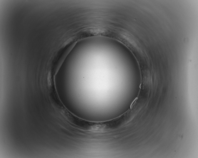 X0000089710700200707051702