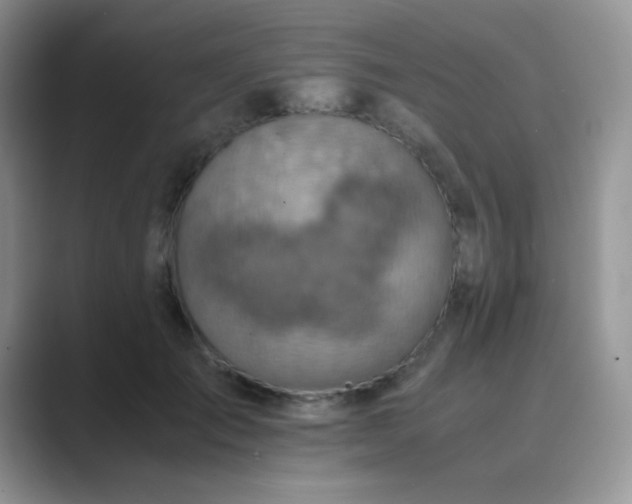 X0000089710701200707051702