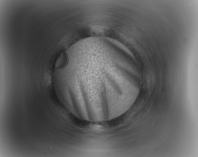 X0000089710706200707051702