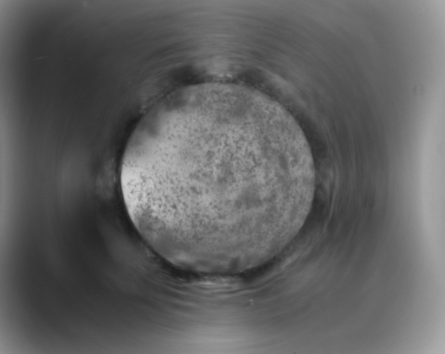 X0000089710707200707051702