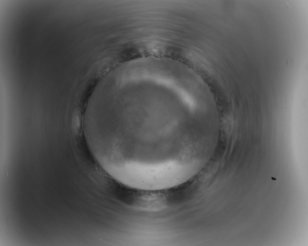 X0000089710709200707051702