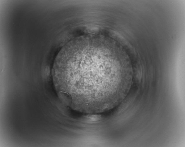 X0000089710711200707051702