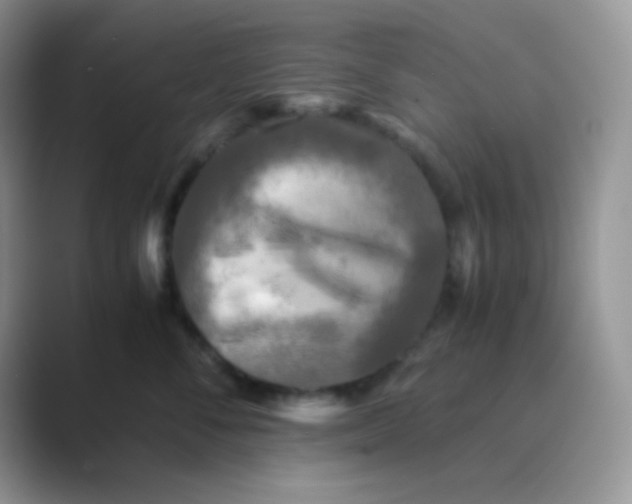 X0000089710716200707051701