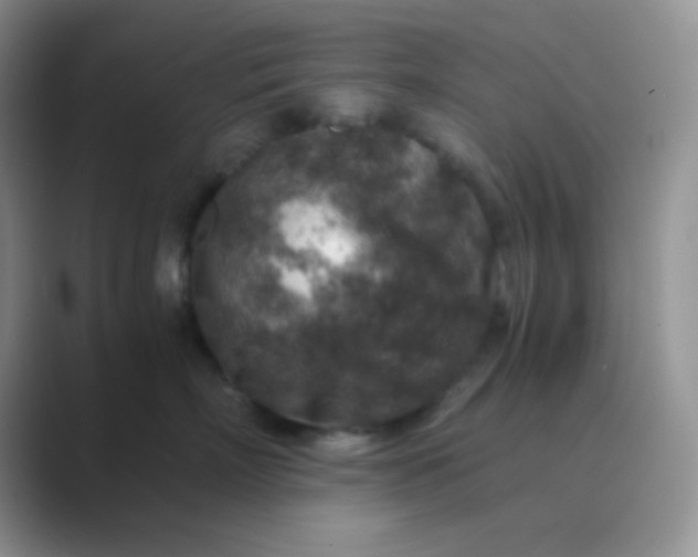 X0000089710718200707051701