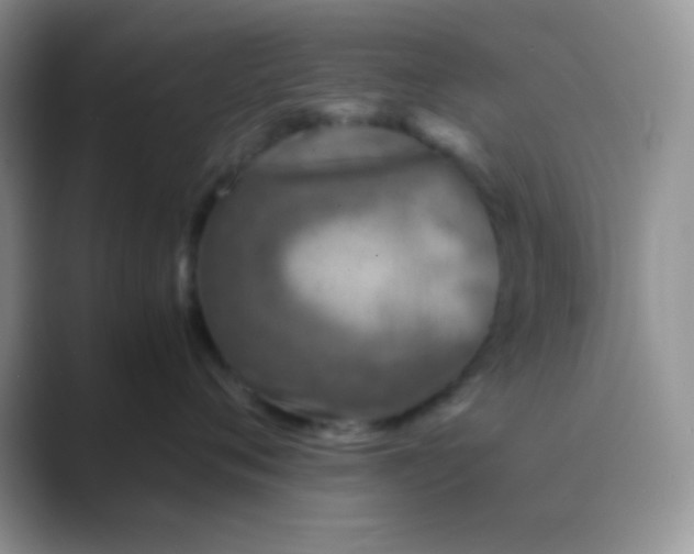 X0000089710720200707051701