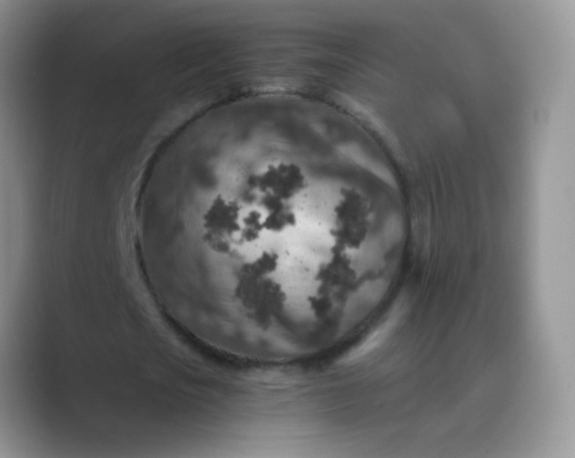 X0000089710721200707051701