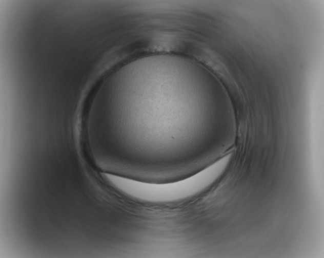 X0000089710722200707051701