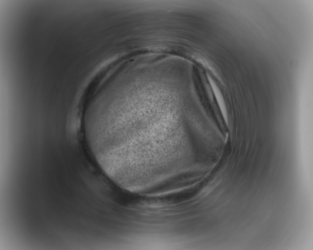 X0000089710723200707051701