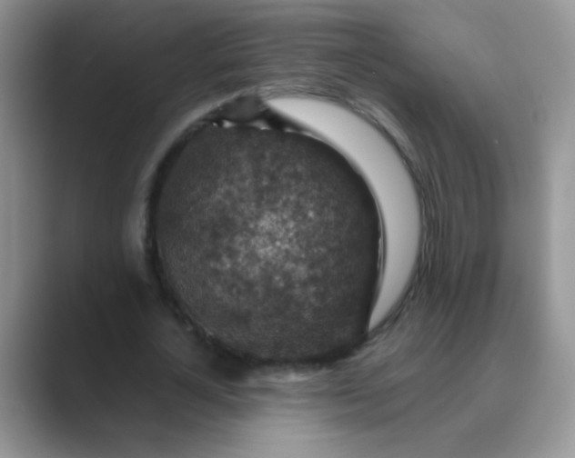 X0000089710724200707051701