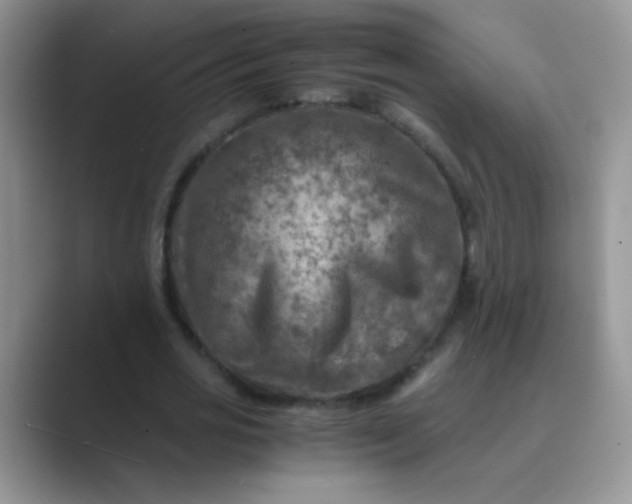 X0000089710725200707051701