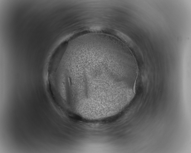 X0000089710728200707051701