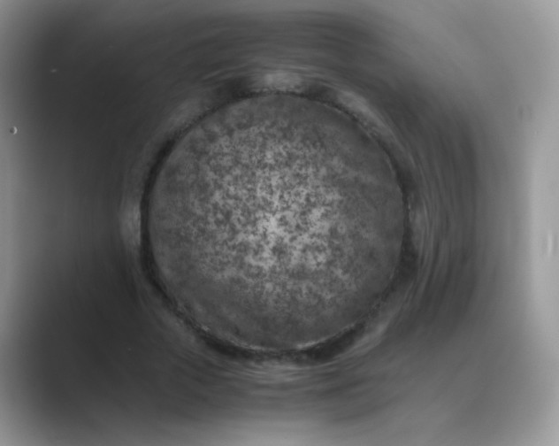 X0000089710729200707051701