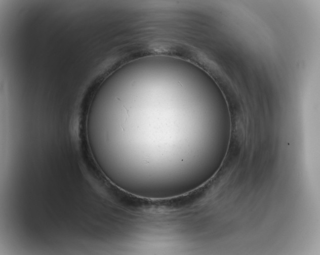 X0000089710730200707051701