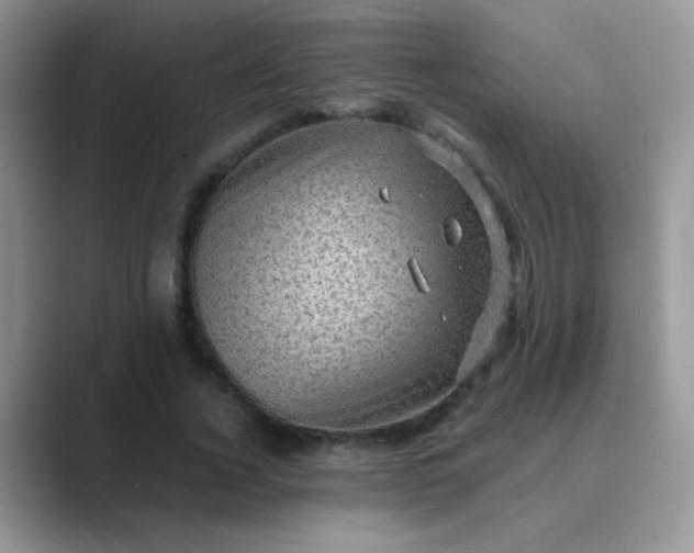 X0000089710732200707051701