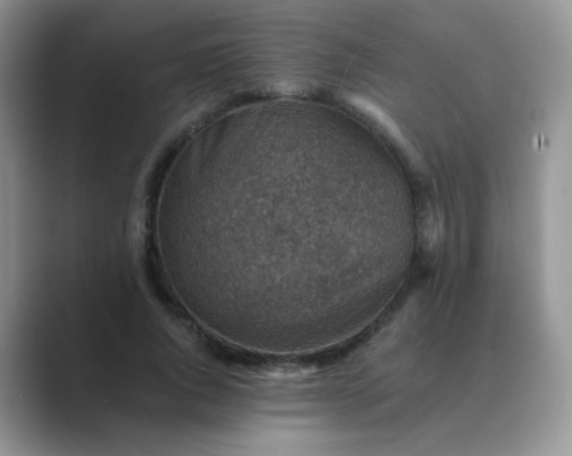 X0000089710736200707051701