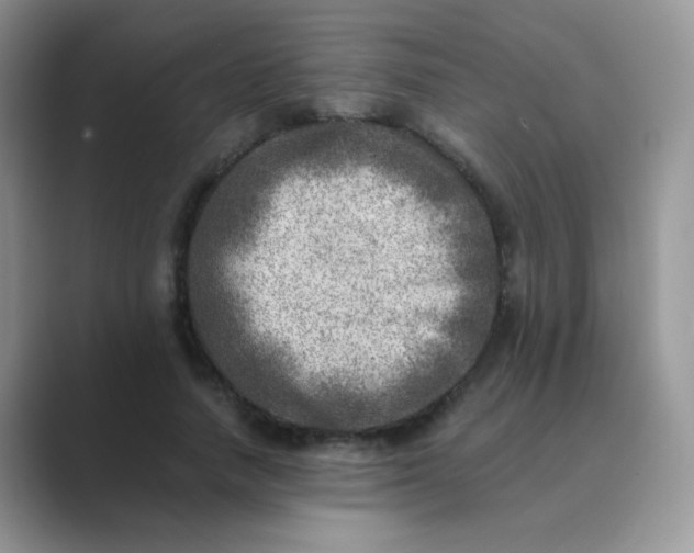 X0000089710738200707051701