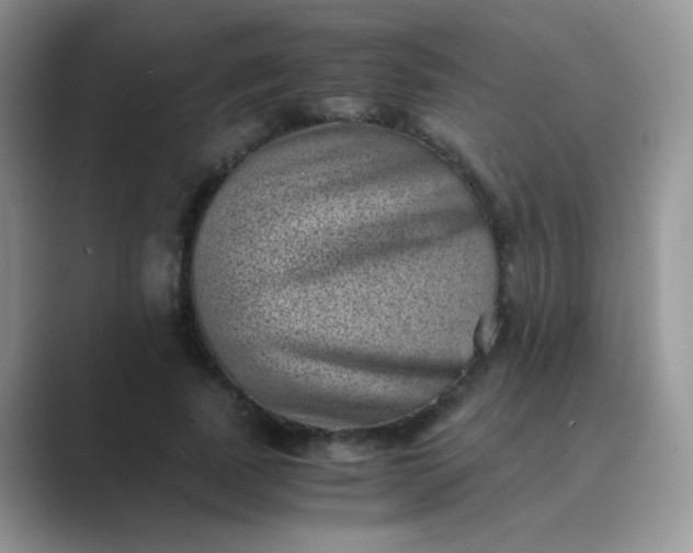 X0000089710739200707051701