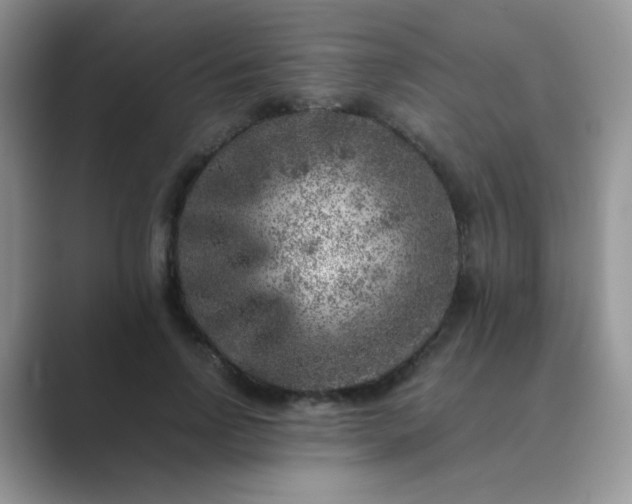 X0000089710742200707051701